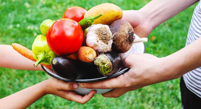 A man farmer and a child are holding a harvest of vegetables in their hands. Selective focus. nature.