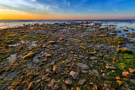 Scenic view of many stones with algae at the seashore.