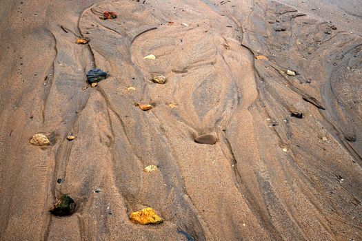 wet sea sand with stones after rain