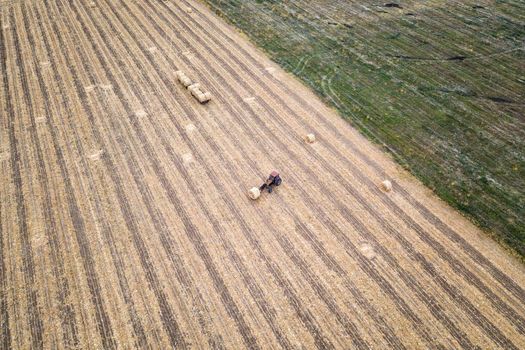 Aerial view from drone to the tractor collect bales of hay after harvesting on a wheat field.