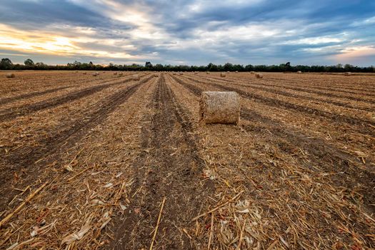 Scenic view at big bales hay on the field at sunset after harvest