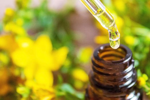 extract St. John's wort in a small jar. Selective focus.nature