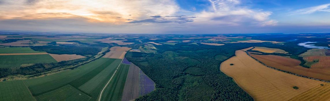 Amazing Aerial panorama from a drone of plowed and green fields, trees at sunset, agriculture concept. Countryside farmland in the summer.