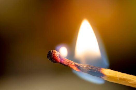 The fire spreads over a wooden stick of match. Close up