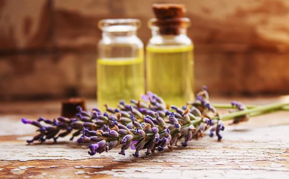 Lavender essential oil in a small bottle. Selective focus. nature.