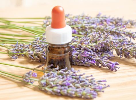 Lavender essential oil in a small bottle. Selective focus. nature.