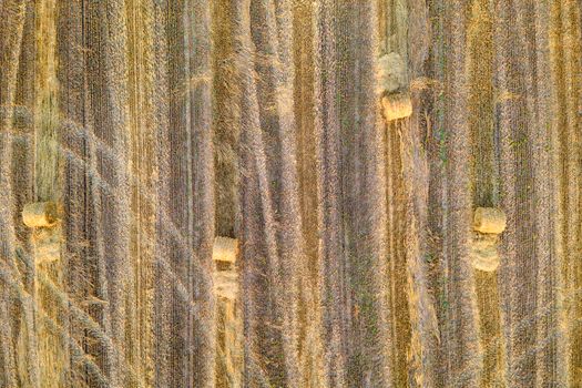 Aerial drone view of the mown field with scattered hay bale rolls and tractor traces