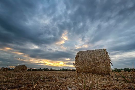 Big bales hay on the field at sunset after harvest