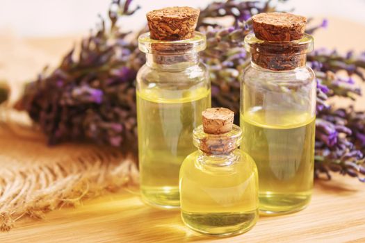 Lavender essential oil in a small bottle. Selective focus. nature.