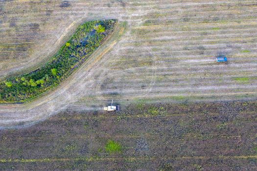 Harvester machine working in the field. Combine harvester agriculture machine harvesting sunflower field. Agriculture. Aerial view. From above.