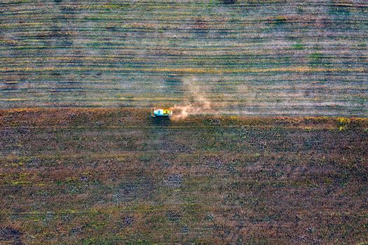 Aerial view drone of harvest field with tractor mows dry sunflower.  Harvesting in the fields. Top view