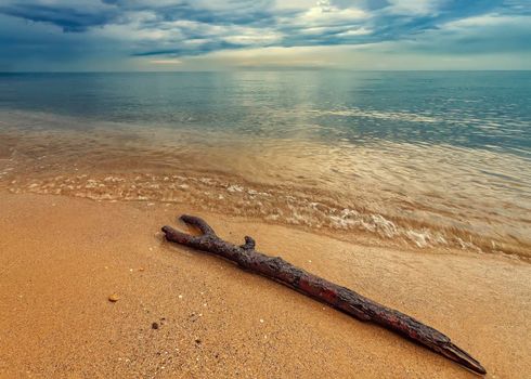 Seascape, Superb long exposure sunrise view with a log at the Black Sea coast, Bulgaria