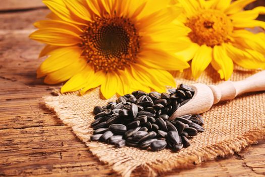 Sunflower seeds and oil bottle on old wooden background. Selective focus.nature