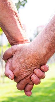 old man holding child's hands. selective focus people