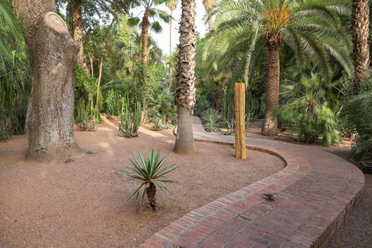 Botanical Majorelle Garden in Marrakech City, Morocco