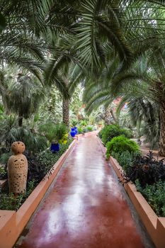 Botanical Majorelle Garden in Marrakech City, Morocco