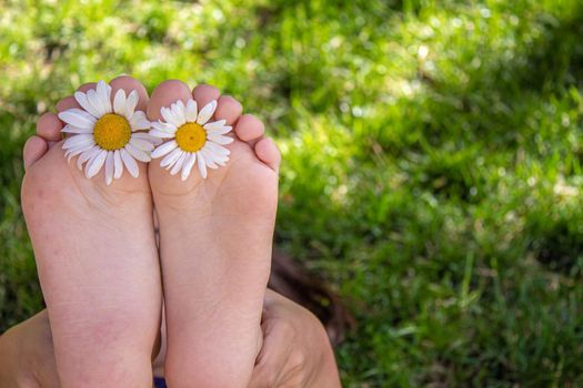 Children's feet with chamomile on green grass. Selective focus. nature