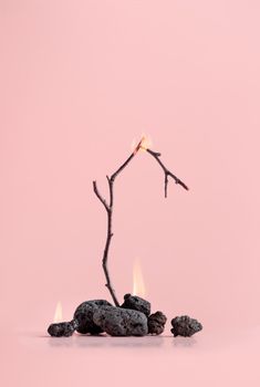 Burning banches with black stones on a pink background Vertical Copy Space