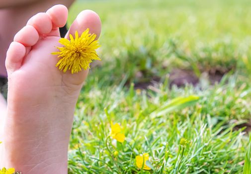 Child lying on green grass. Kid having fun outdoors in spring park. Selective focus. people