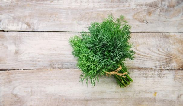 fresh home herbs from the garden. Dill. Selective focus. nature.