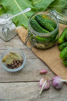 preservation of fresh house cucumbers. Selective focus. nature