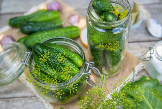 preservation of fresh house cucumbers. Selective focus. nature