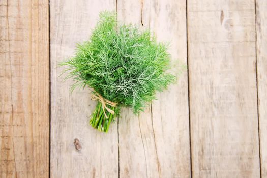 fresh home herbs from the garden. Dill. Selective focus. nature.