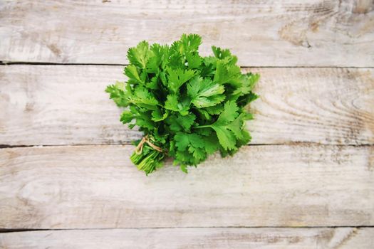 Fresh homemade herbs from the parsley garden. Selective focus. nature.