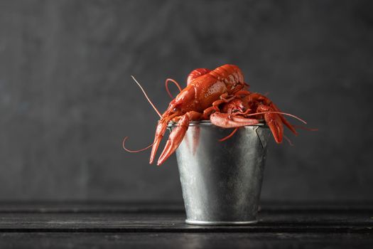Boiled cooked crayfish ready to eat on black background
