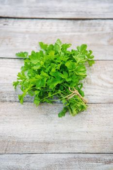 Fresh homemade herbs from the parsley garden. Selective focus. nature.