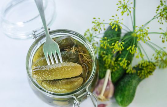 preservation of fresh house cucumbers. Selective focus. nature