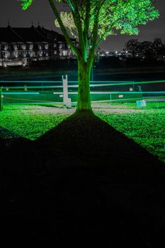 Silhouette of green tree. Shooting Location: Yokohama-city kanagawa prefecture