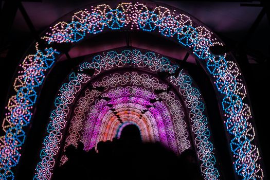 Light tunnel (Christmas illumination). Shooting Location: Tokyo metropolitan area