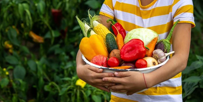 Child and father are holding fresh vegetables in their hands. Selective focus. Kid.