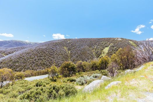 FALLS CREEK, AUSTRALIA - JAN 1: The area around Falls Creek Village on a hot summer's day in the Victorian Alps in Victoria, Australia in 2022