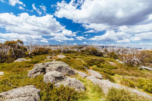 Historic Wallace Hut which is the oldest remaining cattlemen's hut near Falls Creek in the Victorian Alps, Australia