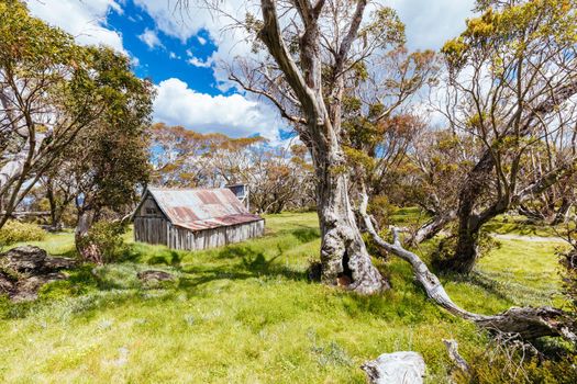 Historic Wallace Hut which is the oldest remaining cattlemen's hut near Falls Creek in the Victorian Alps, Australia