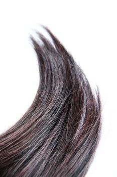 Black hair isolated on white background. Brunette natural hair extension on white background