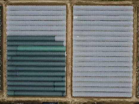 Aerial drone view of massive greenhouse for growing vegetables. Flying over large industrial greenhouses with transparent roof in evening.