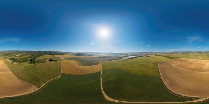 Green wheat field in countryside, close up. Field of wheat blowing in the wind at sunny spring day. Young and green Spikelets. Ears of barley crop in nature. Agronomy, industry and food production