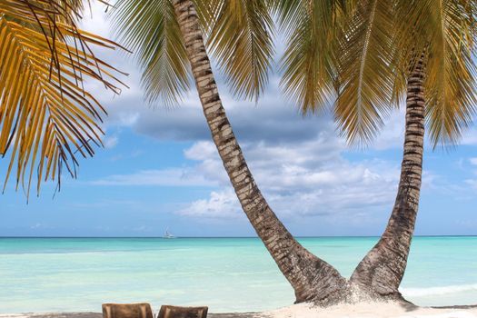 Beautiful tropical beach and two coconut palm trees staying together. Tropical paradise beach with white sand and coco palms.