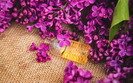 Lilac essential oil in a small bottle. Selective focus. Nature.