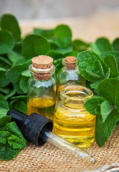 Peppermint essential oil in a small bottle. Selective focus. Nature.