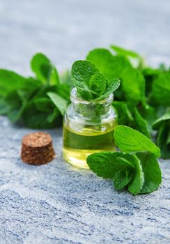 Peppermint essential oil in a small bottle. Selective focus. Nature.