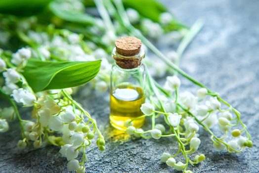 Lily of the valley essential oil in a small bottle. Selective focus. Nature.
