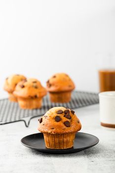 delicious muffins with chocolate just backed