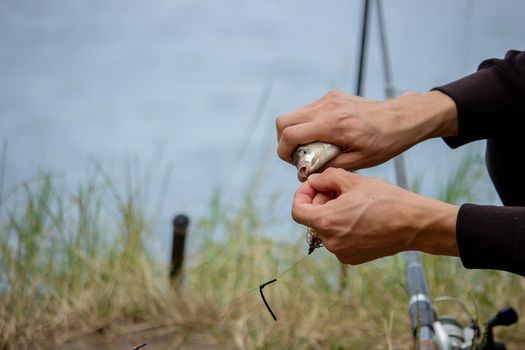 Fishing. Fish on a hook. Selective focus Nature