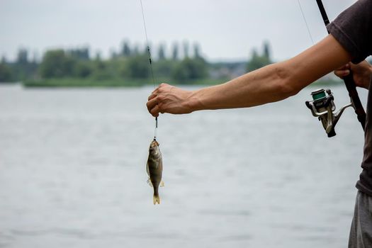 Fishing. Fish on a hook. Selective focus Nature