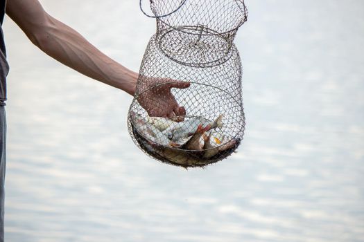 Fishing. Fish on a hook. Selective focus Nature