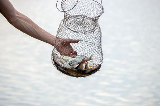 Fishing. Fish on a hook. Selective focus Nature